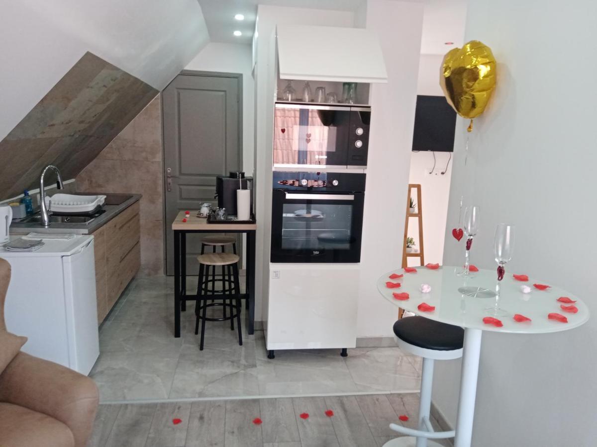 Studio Jacuzzi Au Centre קולמר מראה חיצוני תמונה