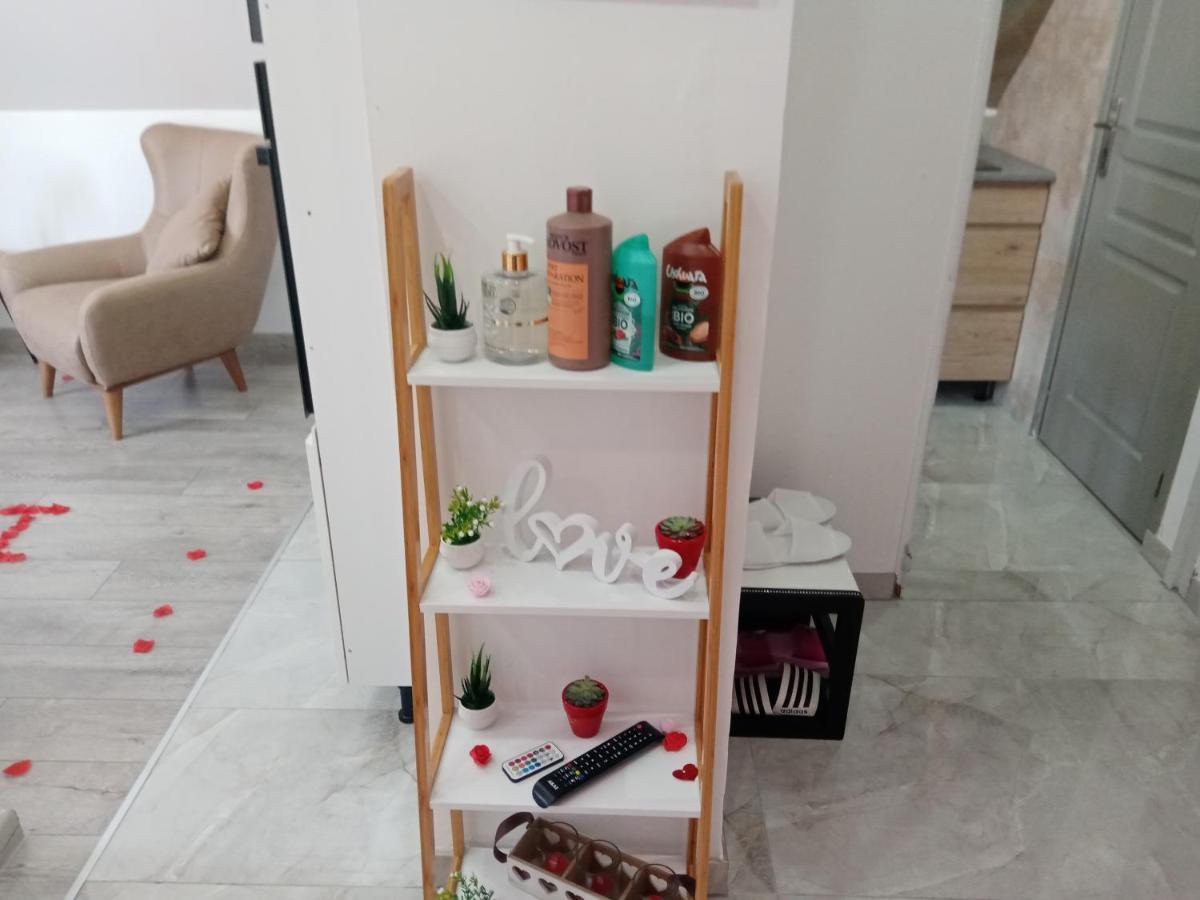Studio Jacuzzi Au Centre קולמר מראה חיצוני תמונה