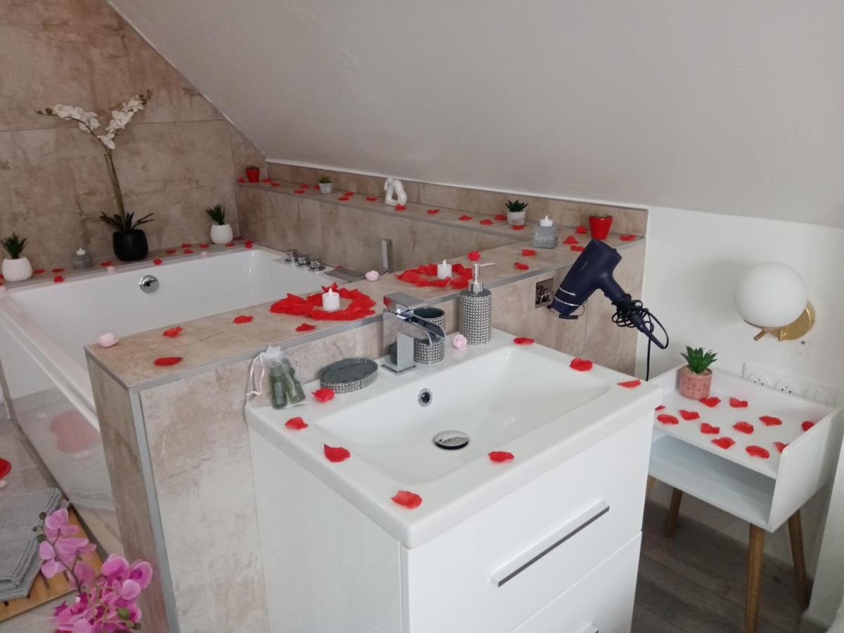 Studio Jacuzzi Au Centre קולמר מראה חיצוני תמונה