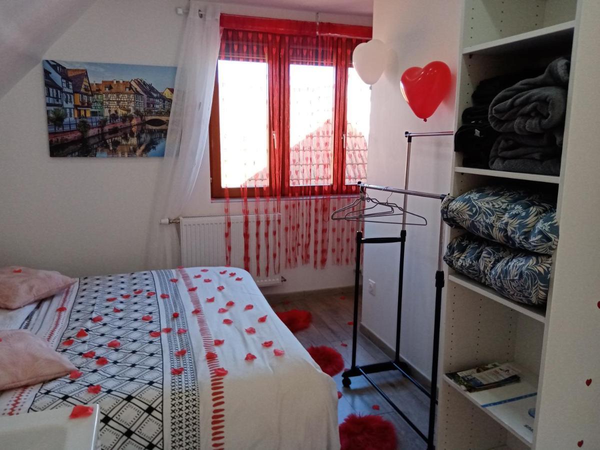 Studio Jacuzzi Au Centre קולמר מראה חיצוני תמונה