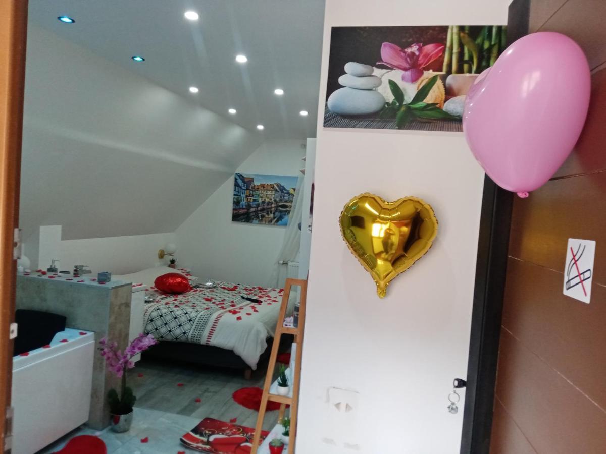 Studio Jacuzzi Au Centre קולמר מראה חיצוני תמונה