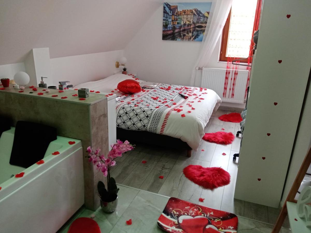 Studio Jacuzzi Au Centre קולמר מראה חיצוני תמונה