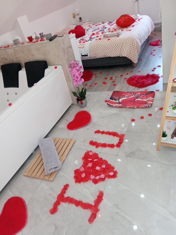 Studio Jacuzzi Au Centre קולמר מראה חיצוני תמונה