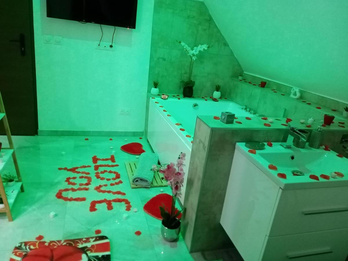 Studio Jacuzzi Au Centre קולמר מראה חיצוני תמונה