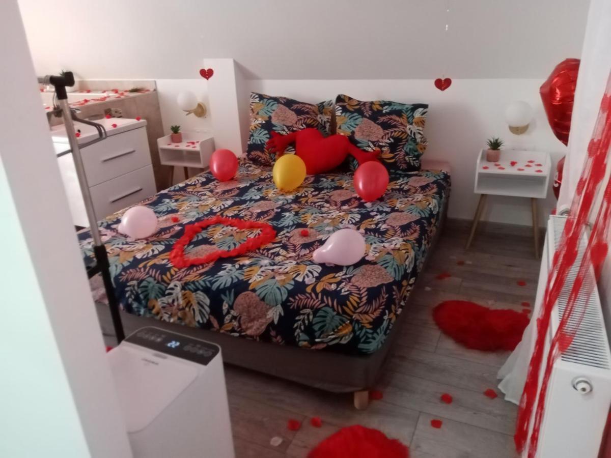 Studio Jacuzzi Au Centre קולמר מראה חיצוני תמונה